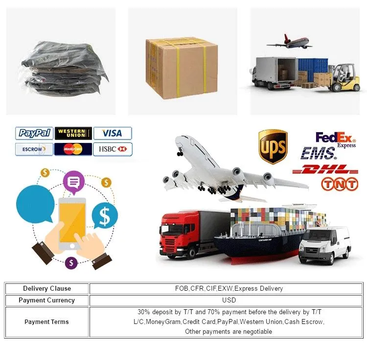 2021 New Designed Waterproof High Quality Business Travel Backpack with High Density Nylon