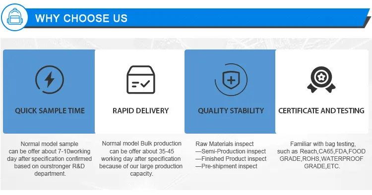 Children School Bags Kids Travel Rolling Luggage Bag Trolley School Backpack Girls Backpack Child Book Bag 2/6 Wheels Schoolbag