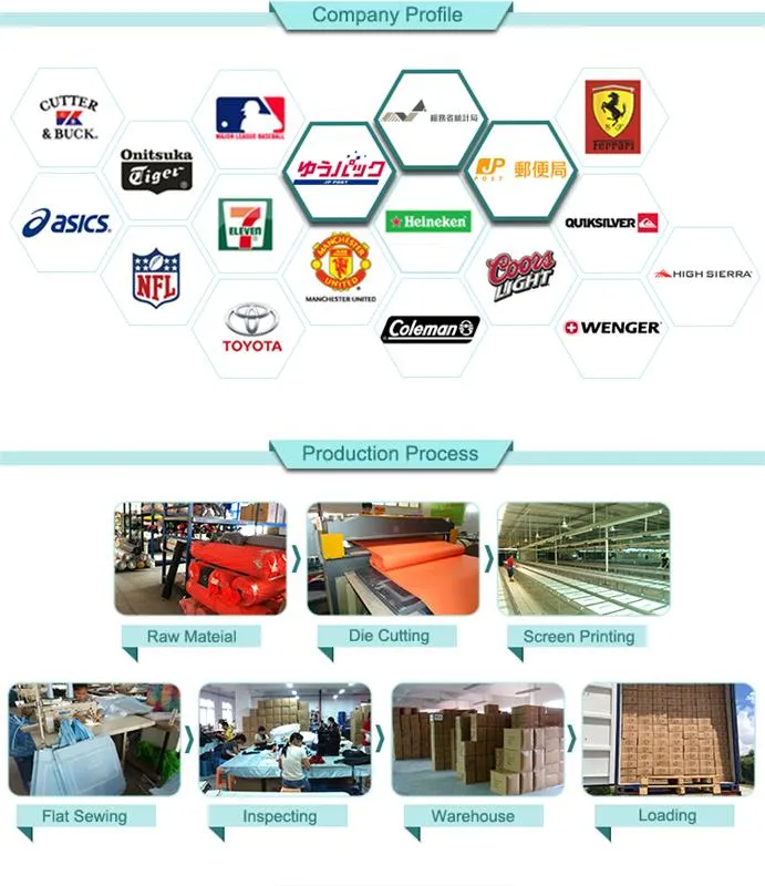 Custom Logo OEM Back Pack Wholesale Anti-Theft Backpack with Tsa Lock Mochila Antirrobo Anti Theft Smart Laptop Backpack Bag