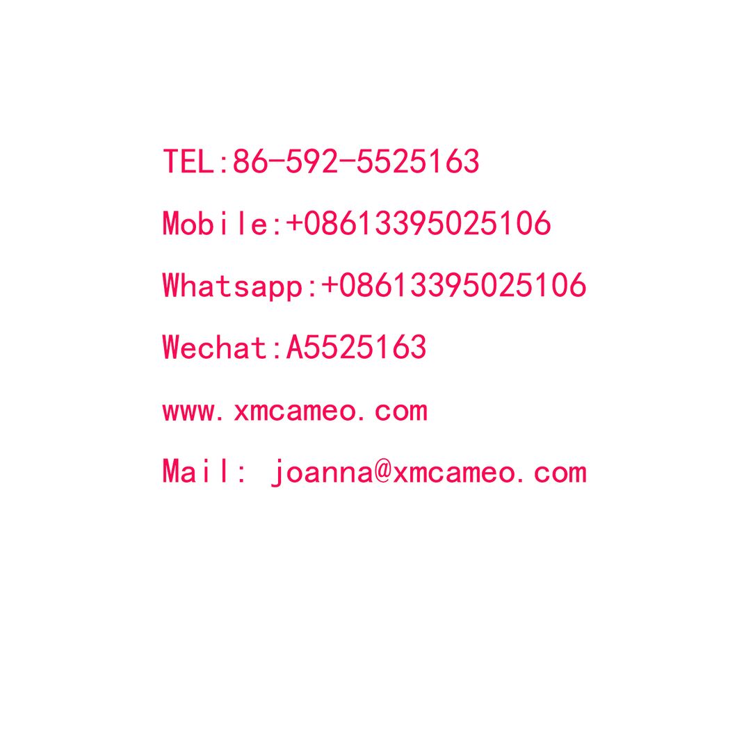 High Quality Large Capacity Airline Approved Durable Pet Carrier Tote Bag