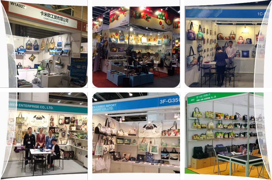 High Quality Large Capacity Airline Approved Durable Pet Carrier Tote Bag