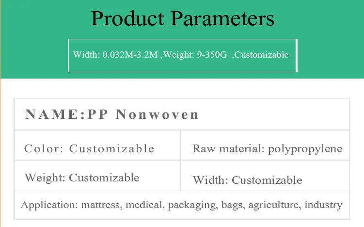 Non Woven Bag/ Grocery Bag/ Shopping Bag