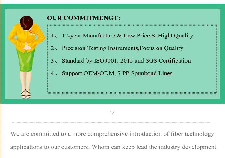 Non Woven Bag/ Grocery Bag/ Shopping Bag