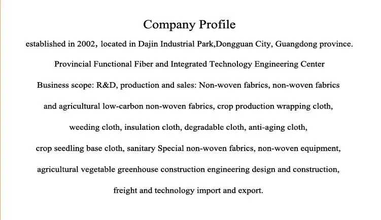 Non Woven Bag/ Grocery Bag/ Shopping Bag