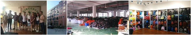 Simplicity Classic Leisure Sports School Traveling Backpack Bag Yf-Pb1608