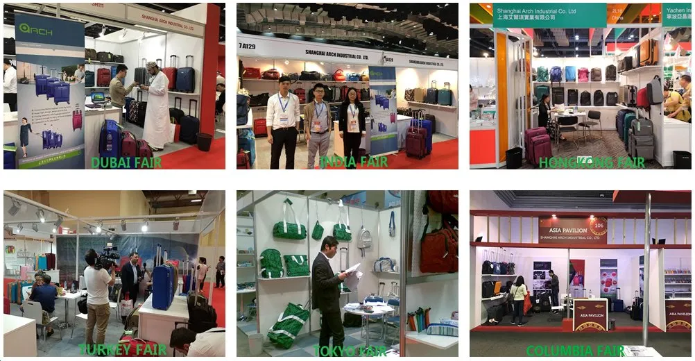 Travel Bag/Luggage Bag/600d Polyester Duffle Bag for Weekenders Fg307dB