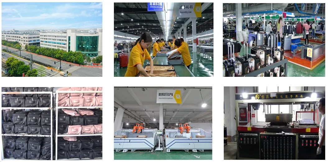 Travel Bag/Luggage Bag/600d Polyester Duffle Bag for Weekenders Fg307dB