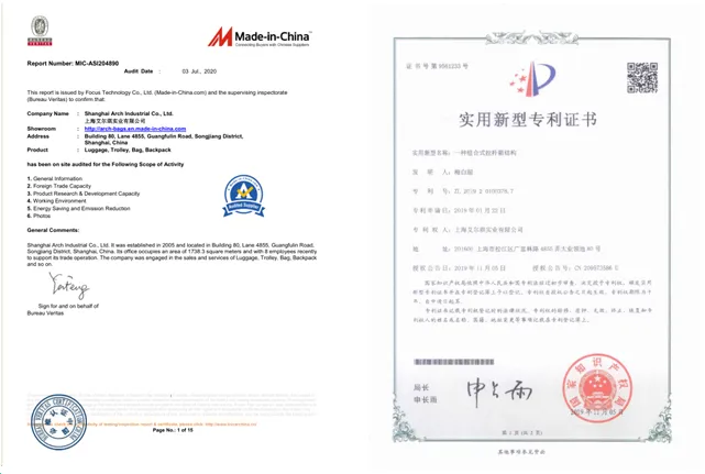 Travel Bag/Luggage Bag/600d Polyester Duffle Bag for Weekenders Fg307dB